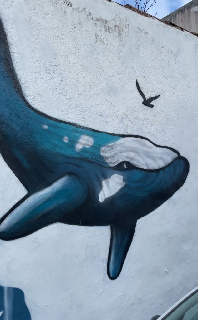 Wand-Kunst in Peniche